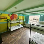 The Flying Pig Beach Hostel