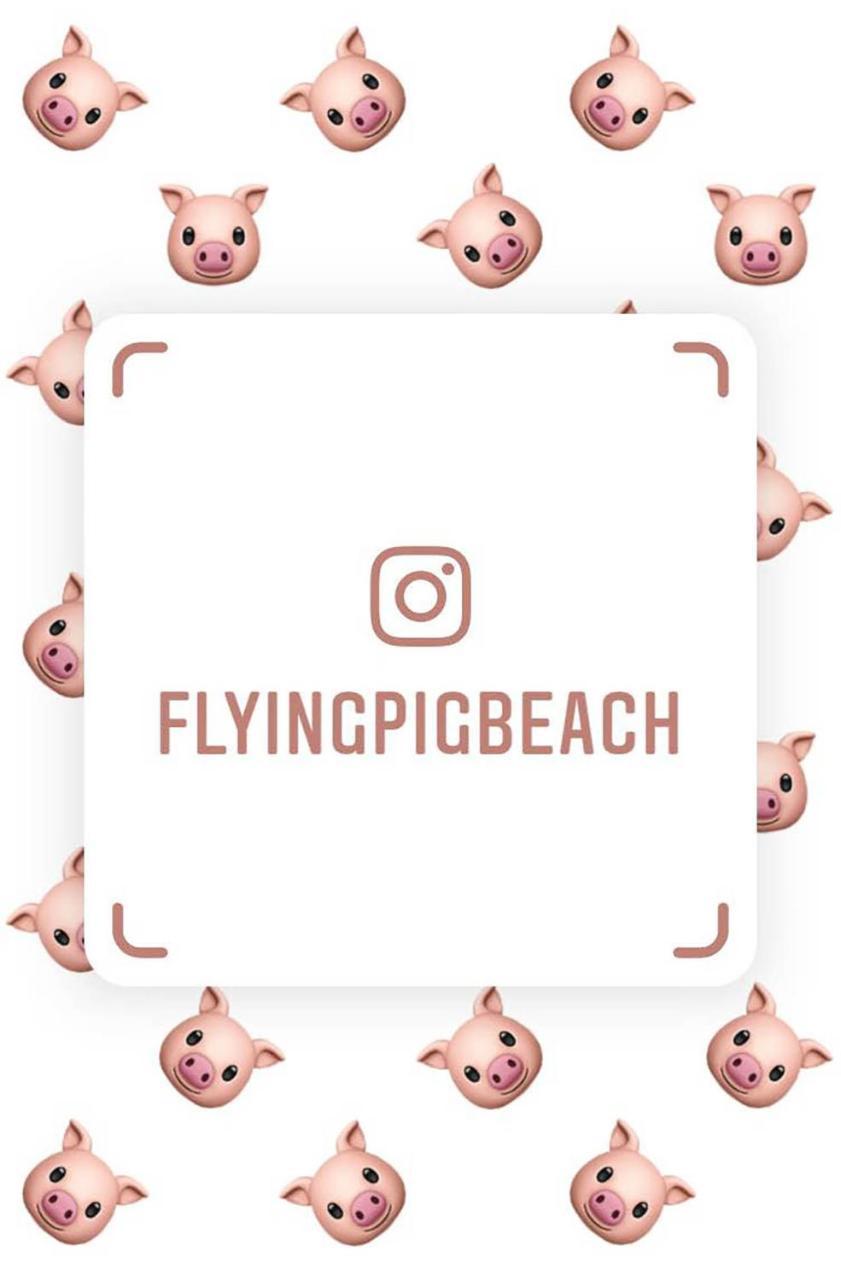 The Flying Pig Hostel